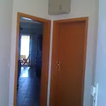 Marko's